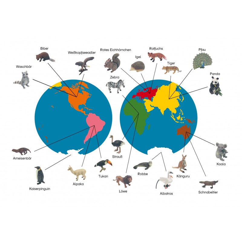 Animals of the Continents