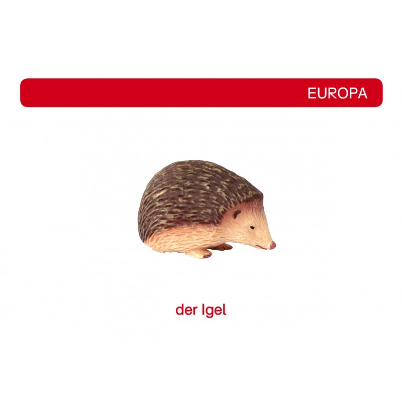 copy of Kontinentálny box - Zvieratá