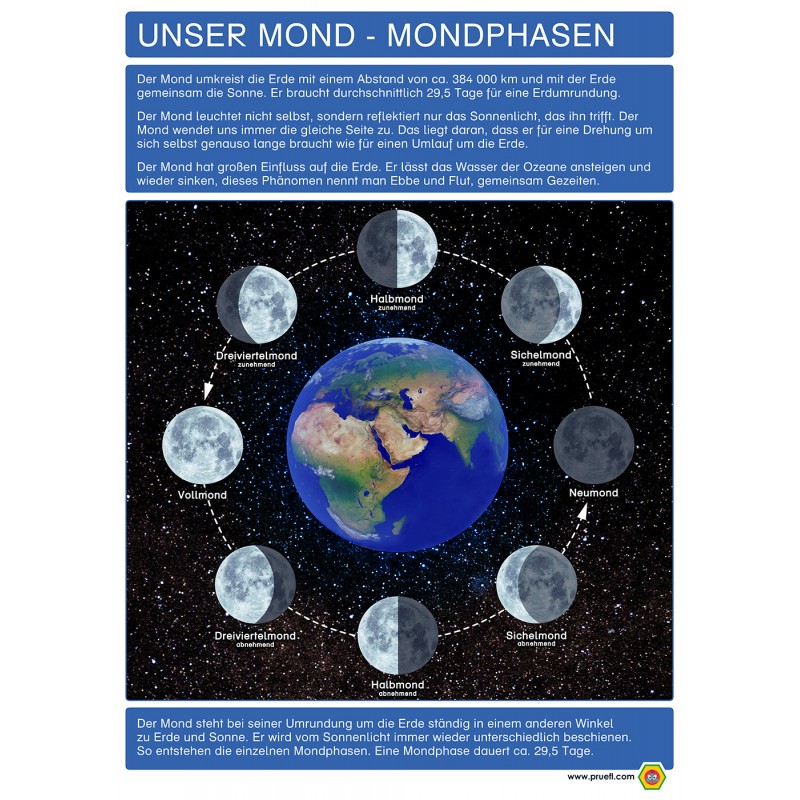 Our Moon - Moon Phases - Poster 50 x 70 cm - German
