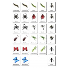 Insekten - Klassifikationskarten - Deutsch
