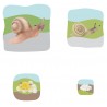 Snail Growth Puzzle