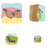 Butterfly Growth Puzzle