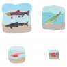 Salmon growth puzzle