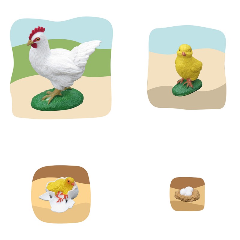 Huhn Wachstumspuzzle
