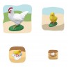 Chicken Growth Puzzle