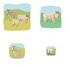 Goat Family Growth Puzzle