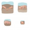 Pig Family Growth Puzzle