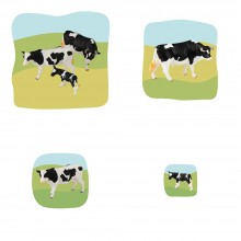 Beef Family Growth Puzzle
