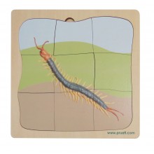 Millipede Growth Puzzle