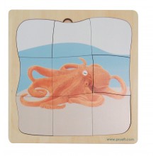 Octopus Growth Puzzle
