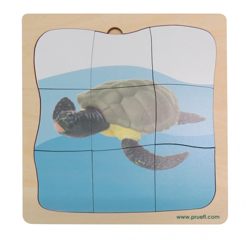 Sea Turtle Growth Puzzle