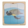 Sea Turtle Growth Puzzle