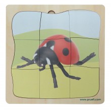 Ladybug Growth Puzzle