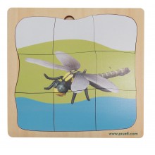 Dragonfly Growth Puzzle