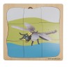 Dragonfly Growth Puzzle