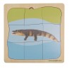 Crocodile Growth Puzzle