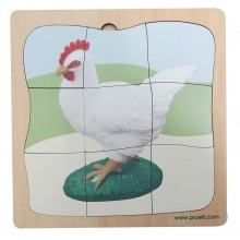 Chicken Growth Puzzle
