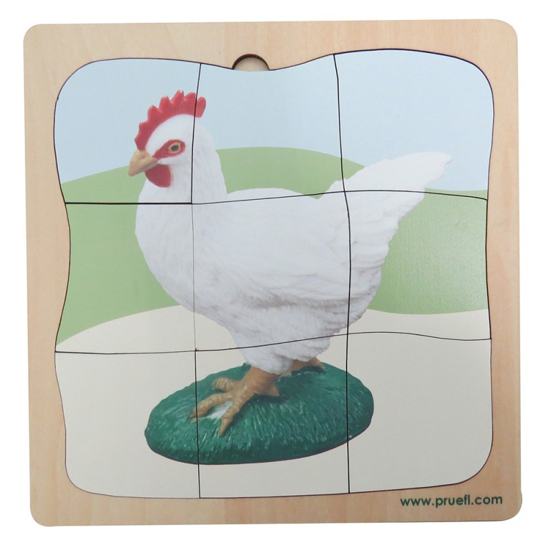 Chicken Growth Puzzle