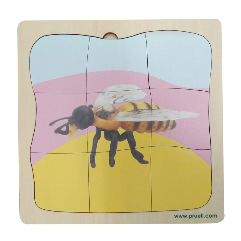 Bee Growth Puzzle