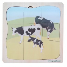 Beef Family Growth Puzzle