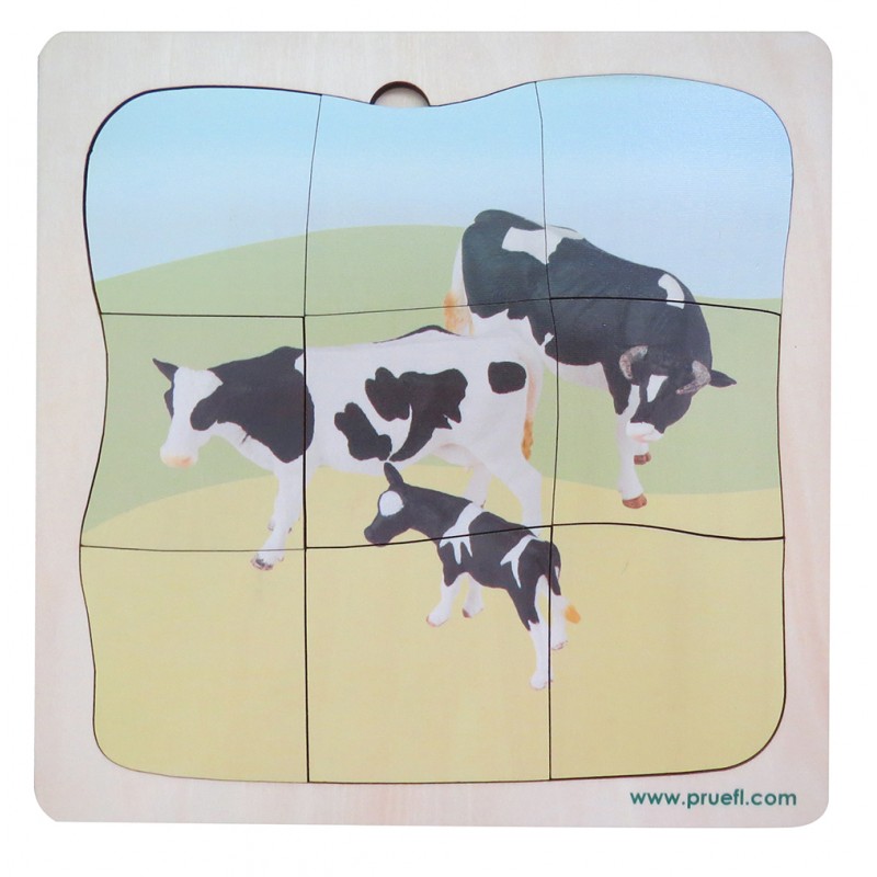 Beef Family Growth Puzzle