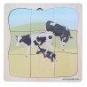 Beef Family Growth Puzzle