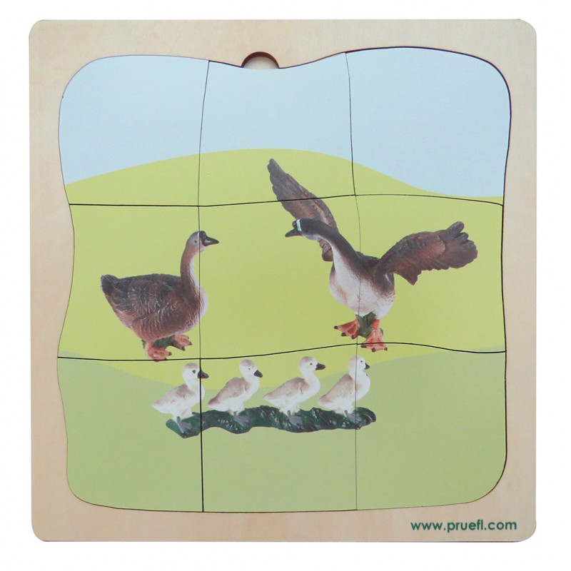 Gans Familie Wachstumspuzzle