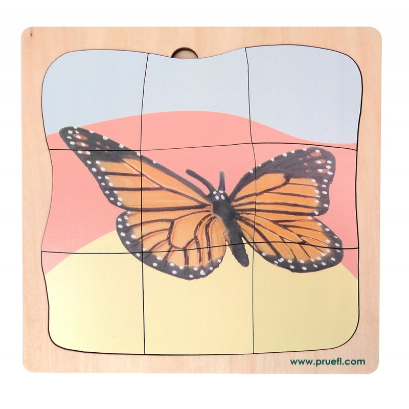 Schmetterling Wachstumspuzzle
