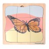 Butterfly Growth Puzzle