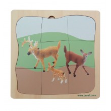 Reh Family Growth Puzzle