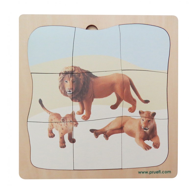 Lion Family Growth Puzzle