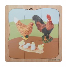 Huhn Familie Wachstumspuzzle