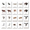Tiere aus Nordamerika