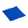 Bean bag: blue
