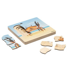 Growth Puzzle Crab