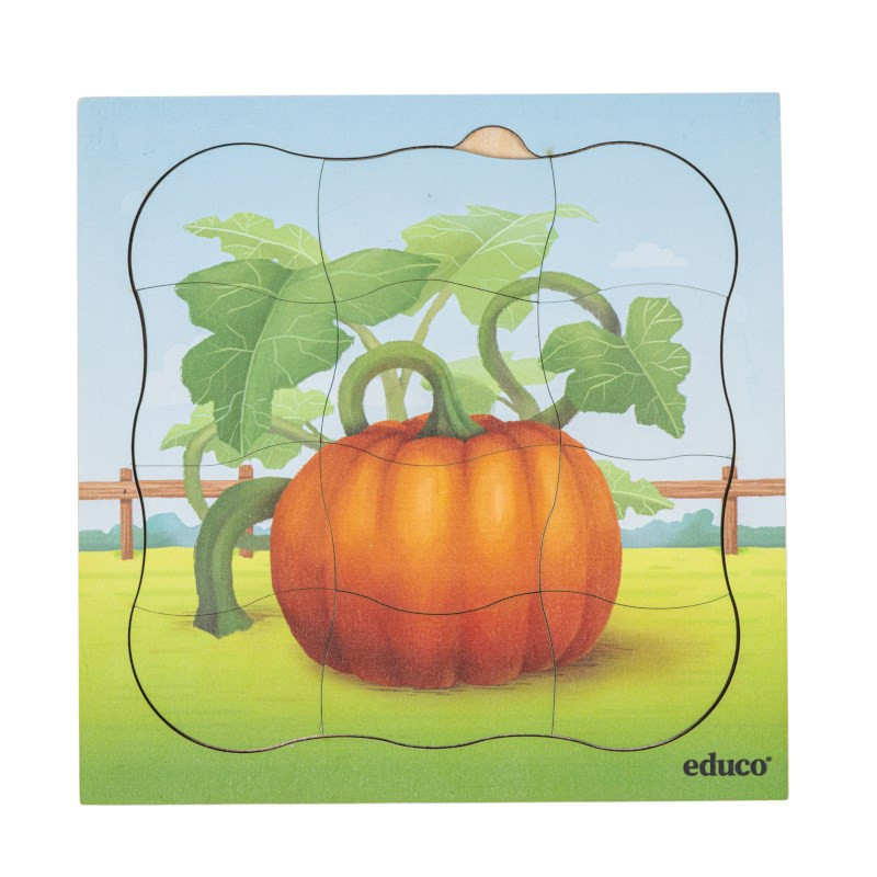 Growth puzzle pumpkin