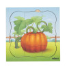 Growth puzzle pumpkin