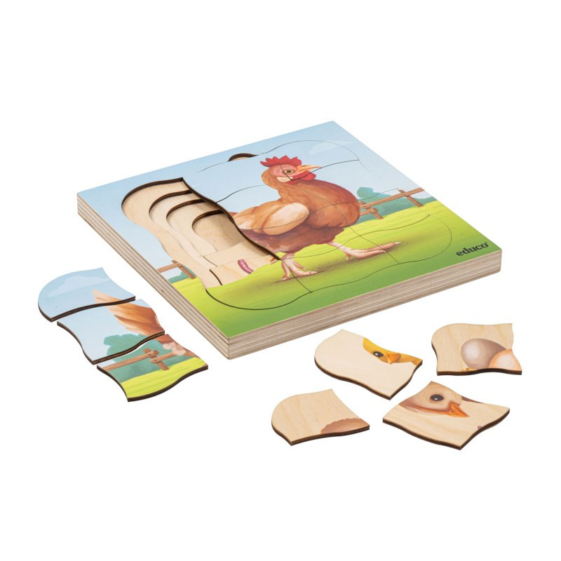 Growth puzzle chicken