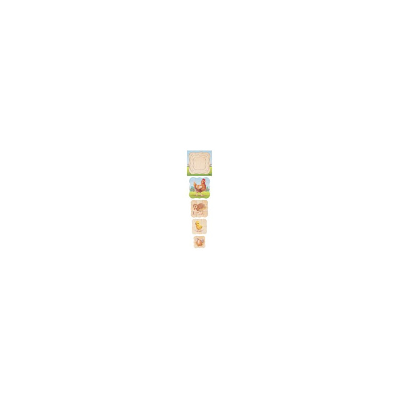 Growth puzzle chicken