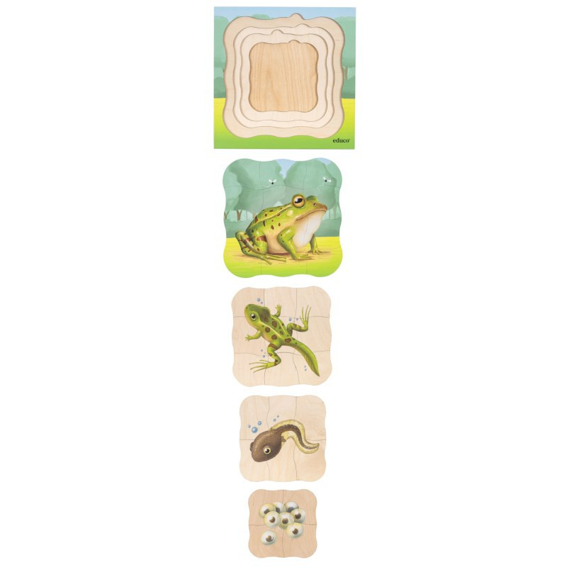 Growth puzzle frog