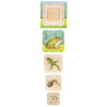 Growth puzzle frog