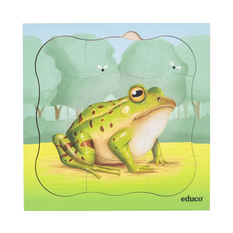 Growth puzzle frog