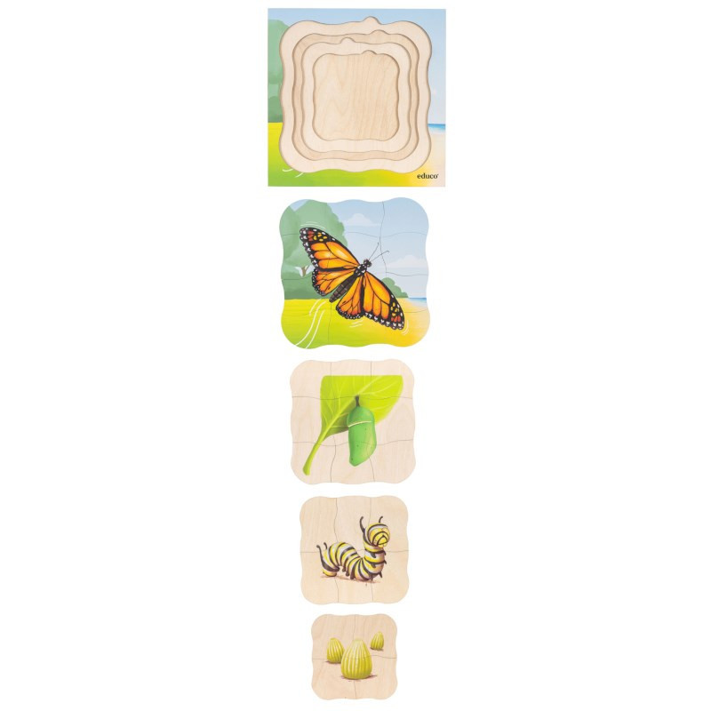 Growth Puzzle Butterfly