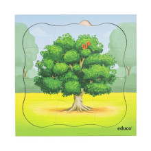 Growth puzzle oak