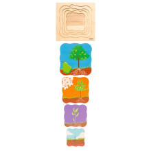 Growth puzzle pear