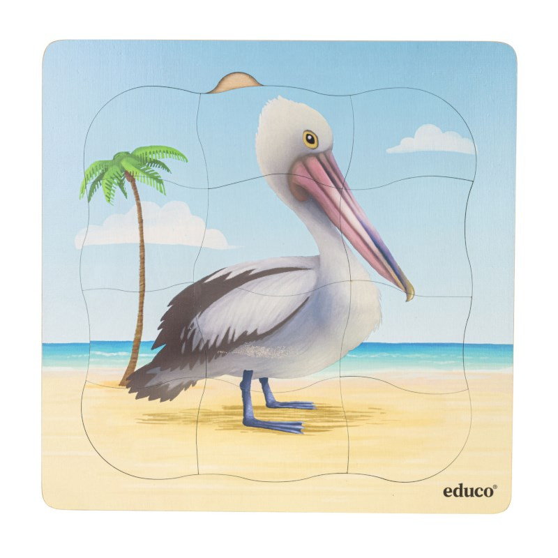Growth Puzzle Pelican