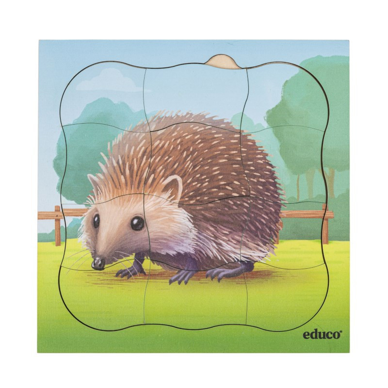 Growth Puzzle Hedgehog