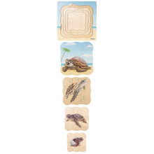 Wachstumspuzzle Schildkröte