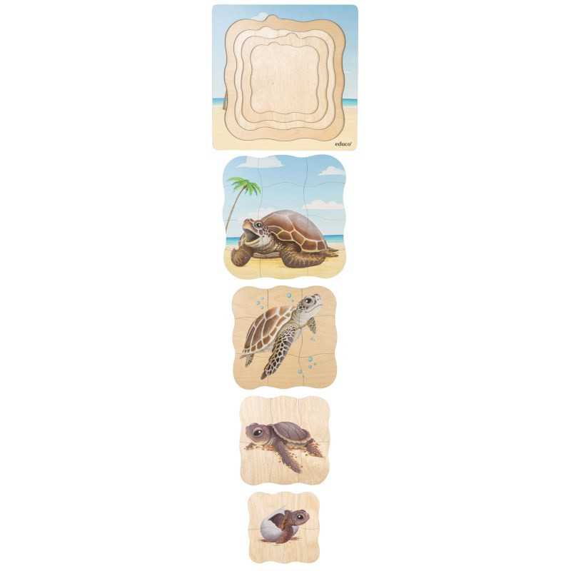 Wachstumspuzzle Schildkröte