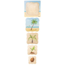 Growth puzzle coconut palm